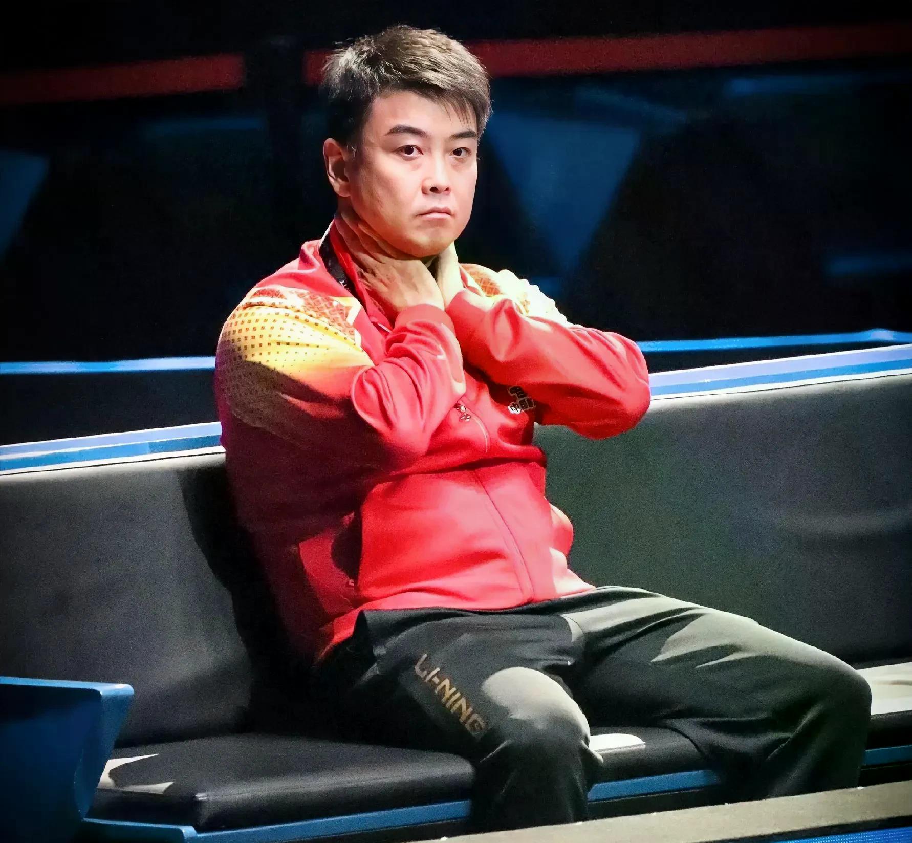 奥地利乒乓球队血洗德国乒乓球队，王皓制霸全场的简单介绍