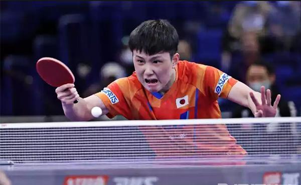 中国乒乓球队血洗波兰乒乓球队，张本智和爆发神勇