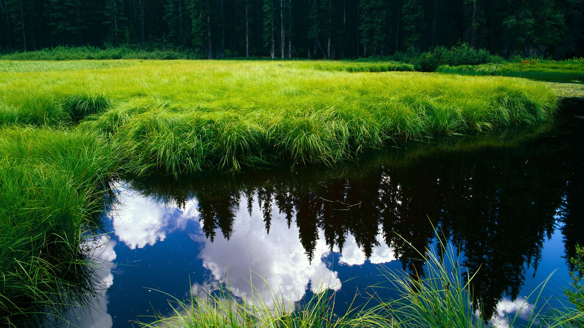 晨与夜的协奏，当桃田贤斗的指尖拂过莱茵河畔的风