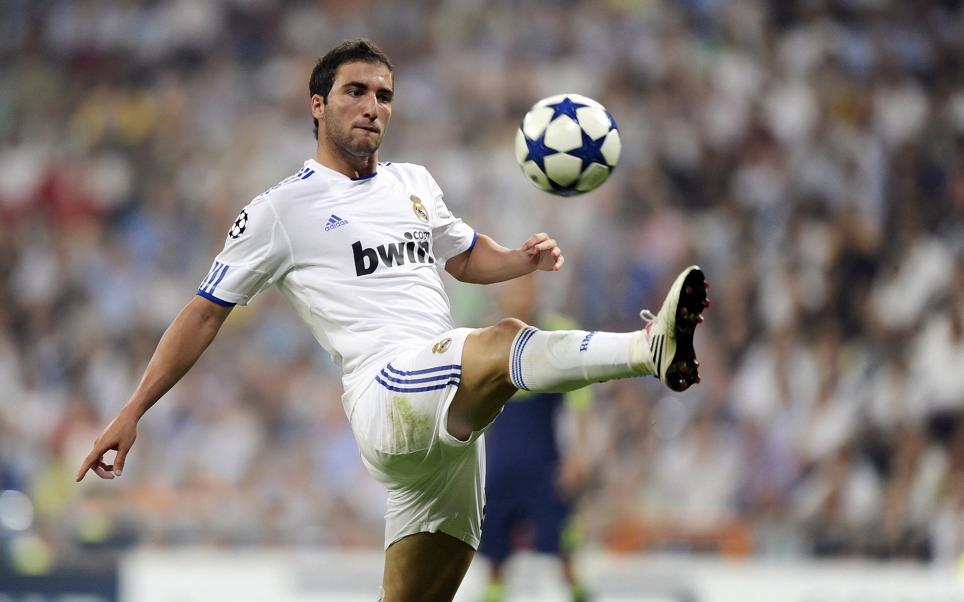 挥拍为谁？纳达尔燃起的联合杯红色尘土，映照年终总决赛的蓝色虚空