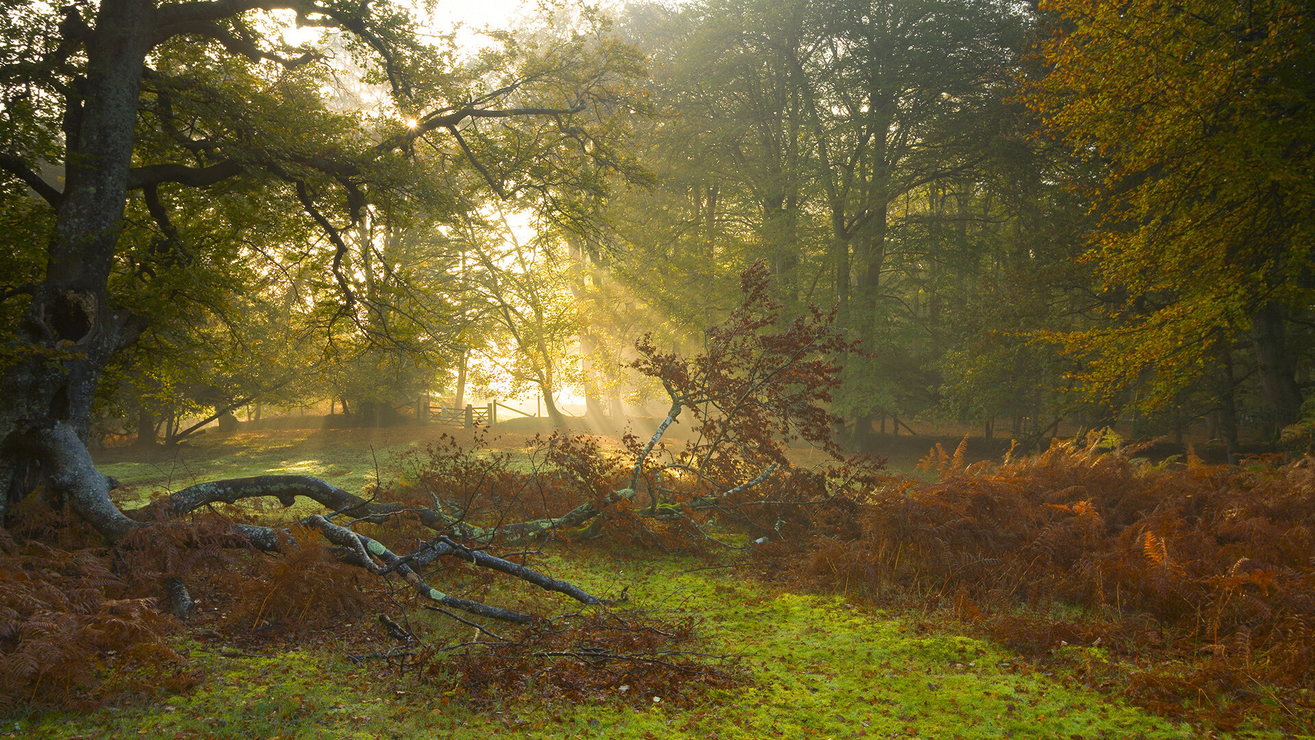 蒙特卡洛的暗格,辛纳在法网的影子里,埋下何种伏笔?