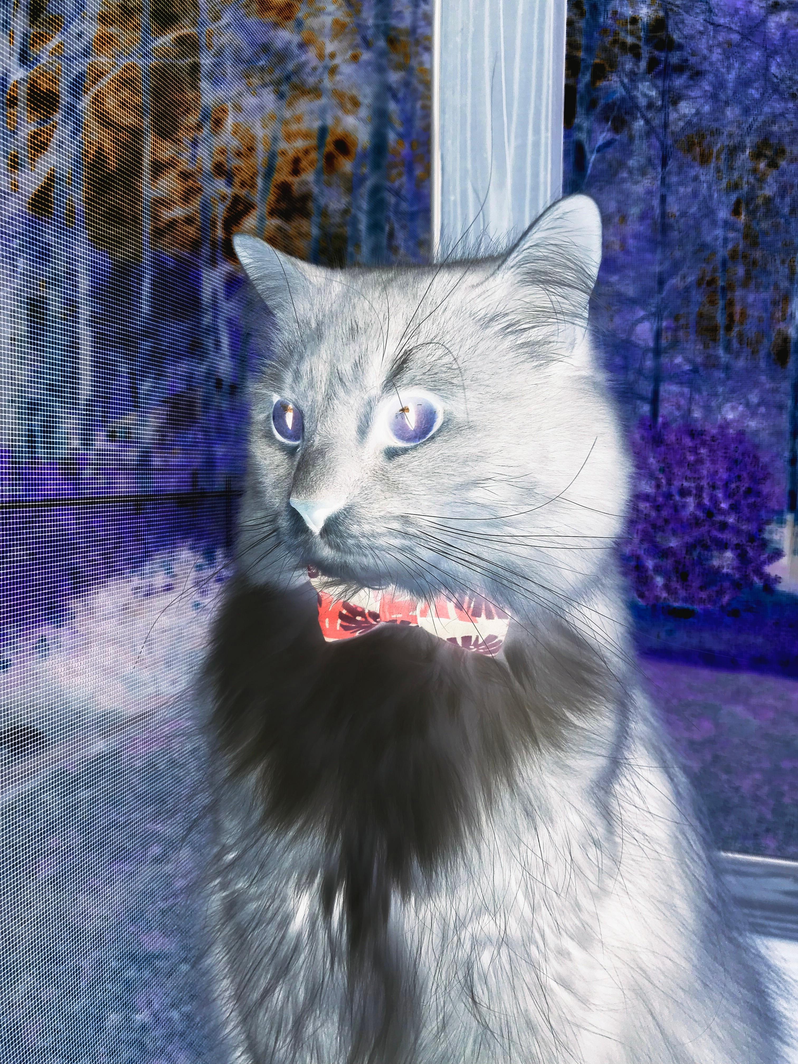 在极限的弯道与加时的战场,胜利只属于永不减速的人