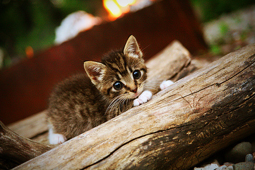 年度焦点之战之夜，阿什拉夫一公里外射出的子弹，让新伯纳乌陷入一片寂静