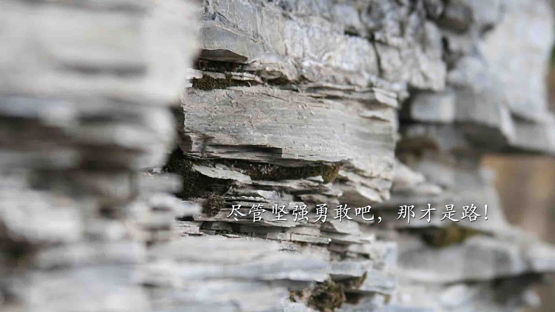 公牛血洗国王，锡安·威廉姆森把对手防线变成了他的角斗场