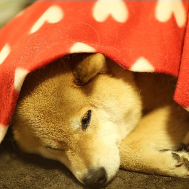 赛道上的禁飞区，一场改写历史的锁死攻防