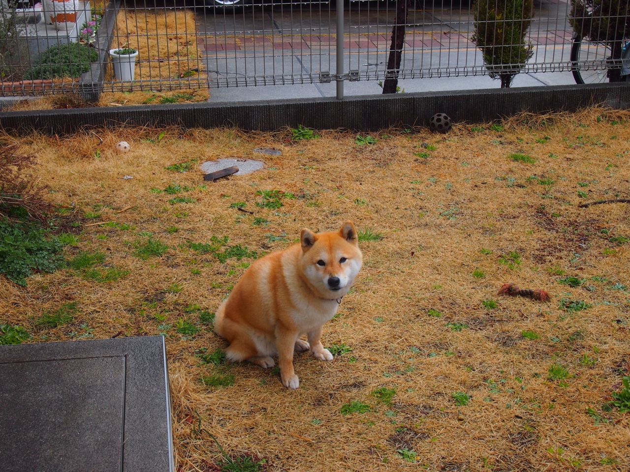 跨城交易惊雷夜，字母哥空降亚特兰大，宿敌对决胜负系于一人之手