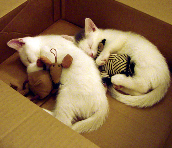 扩展思维，文章标题