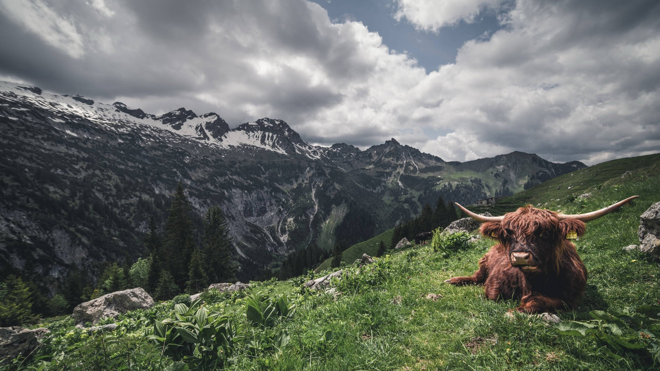 历史首次跨联盟交锋！哈利伯顿里程碑之夜，湖人险胜浙江队写就篮球新篇