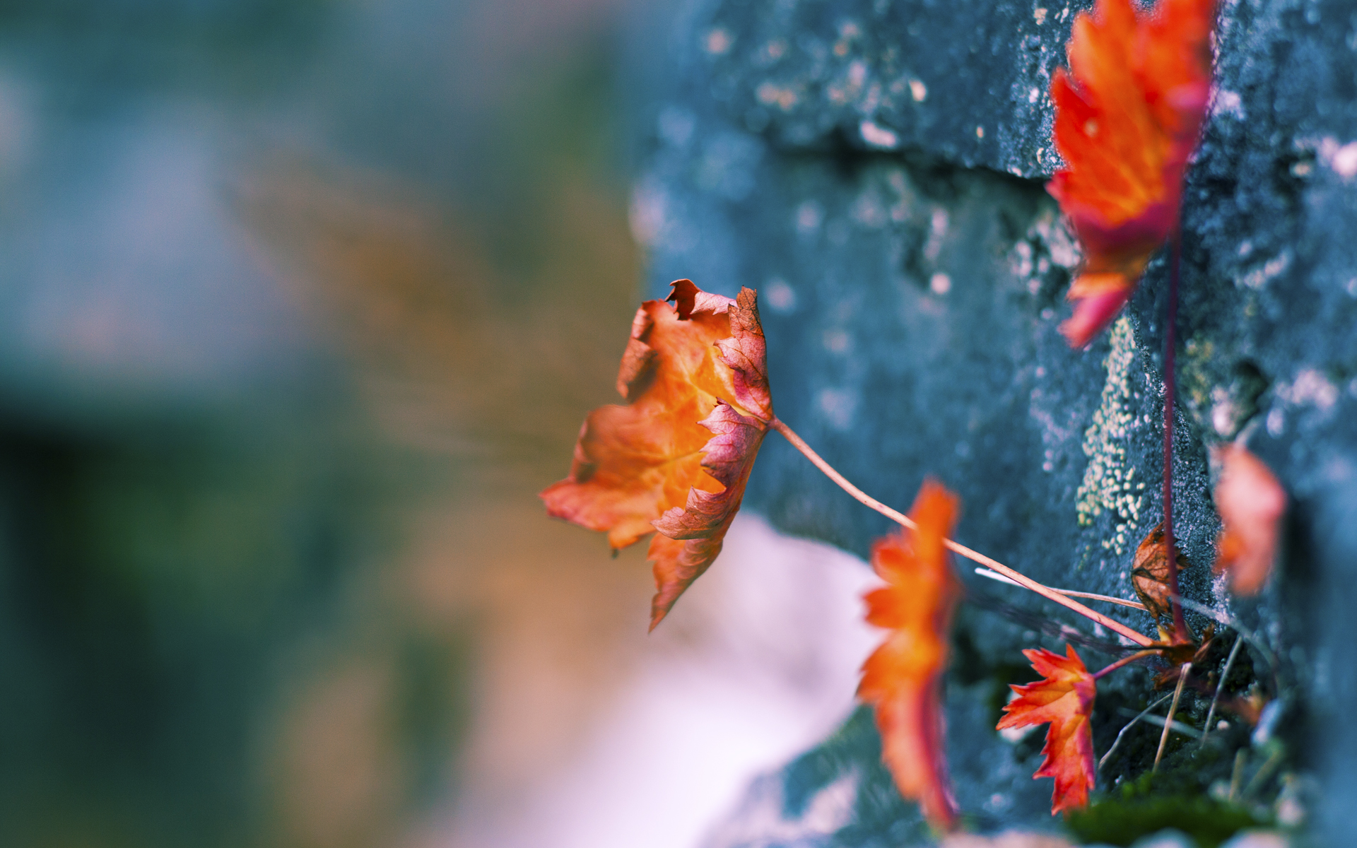 双线交锋，北京队横扫山西队展团队之力，库里奥运关键战显个人英雄主义