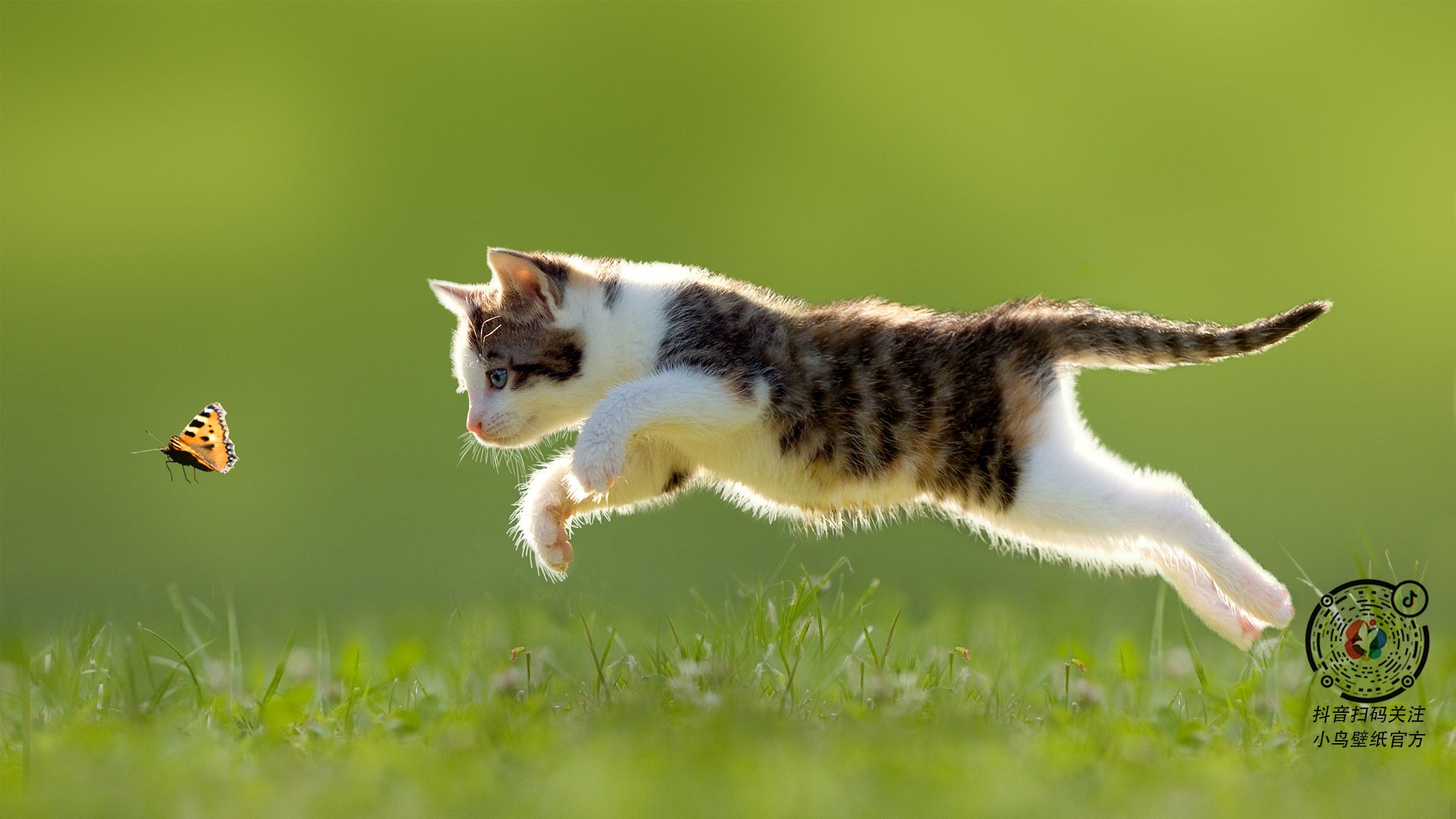 天降神罚，法比尼奥与笼罩曼城的拉塞瓦迷雾