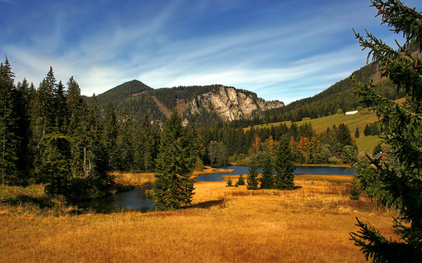 逆流而上，当奇才遇上猛龙，保罗用一场数字之外的胜利完成自证