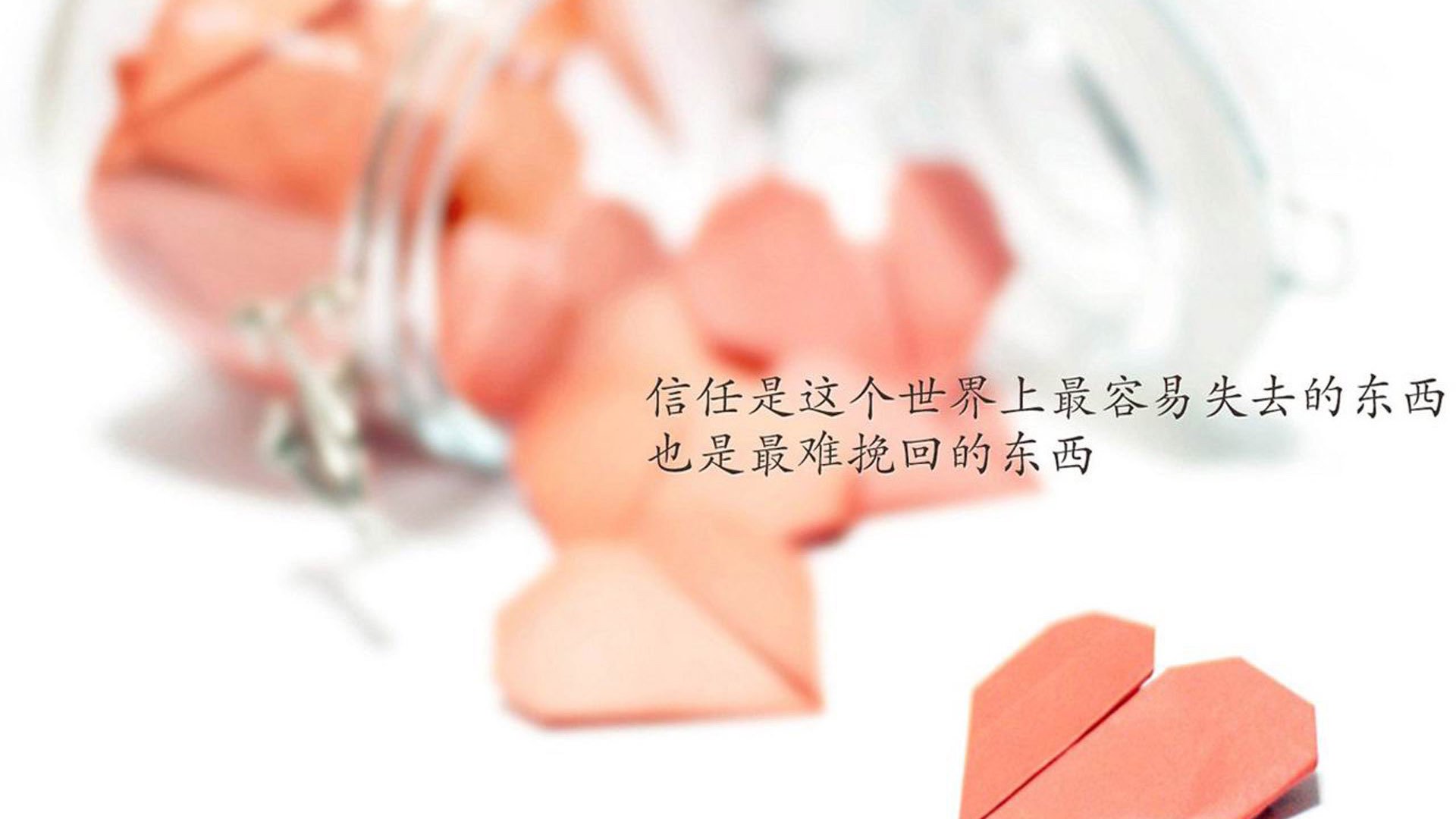 年度焦点之战之夜，巴雷拉的交响乐，万人独奏