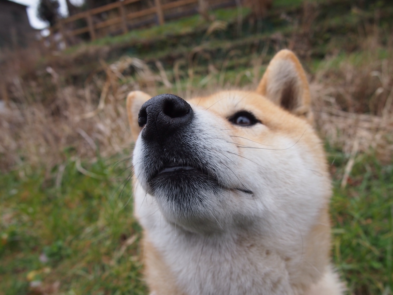 以战术之名，巴萨的北境征伐与法比尼奥的交响诗篇