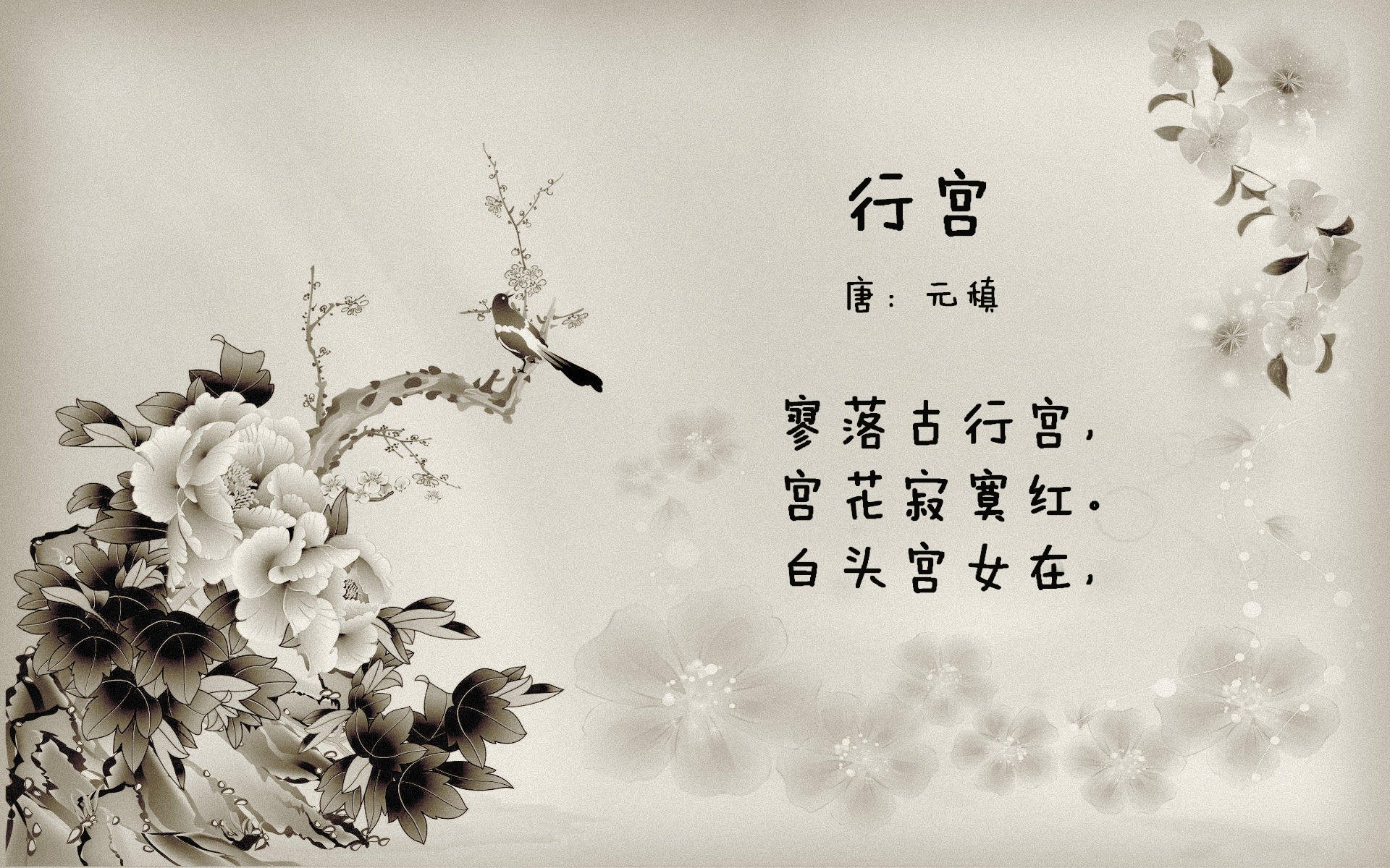 孤注一掷的绝杀，费利克斯的战术棋盘上，罗马尼亚如何用唯一性击碎哥伦比亚的2026世界杯之梦