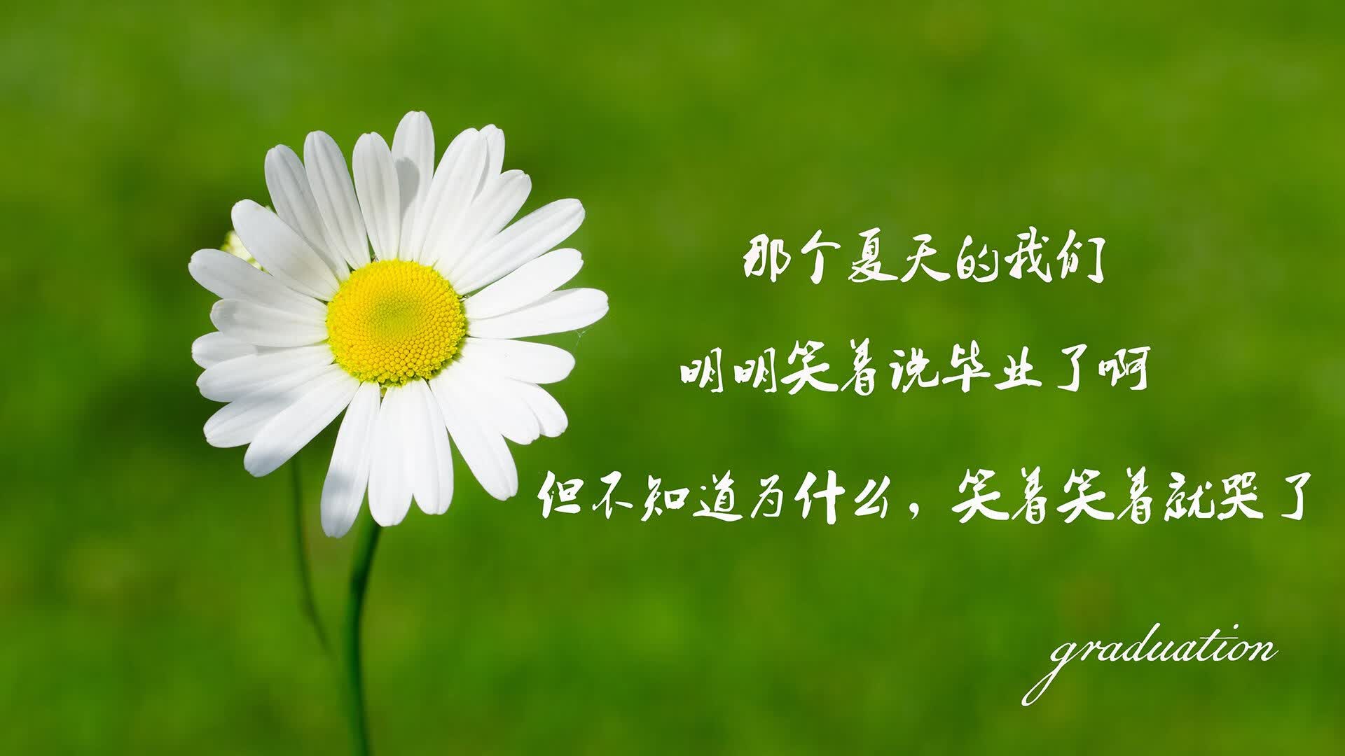 橙衣军团的独舞，德布劳内执笔，范德门将封神—2026世界杯D组焦点战，荷兰绝杀厄瓜多尔