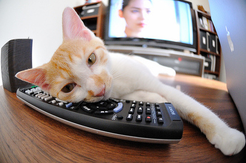 致命一击·临场奇谋,萨内绝杀印度的背后,是世界杯G组一场教科书式的战术博弈