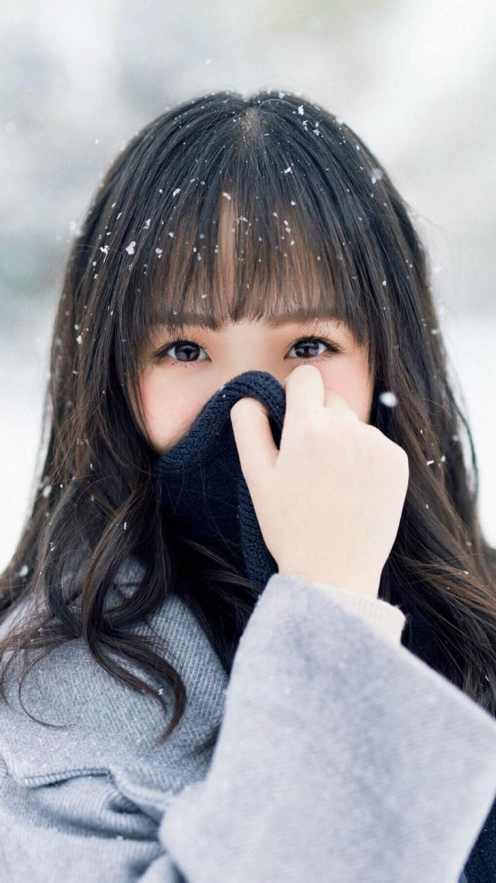 绿茵孤本，当2026世界杯C组的命运齿轮碾过丰田与奔驰的碰撞