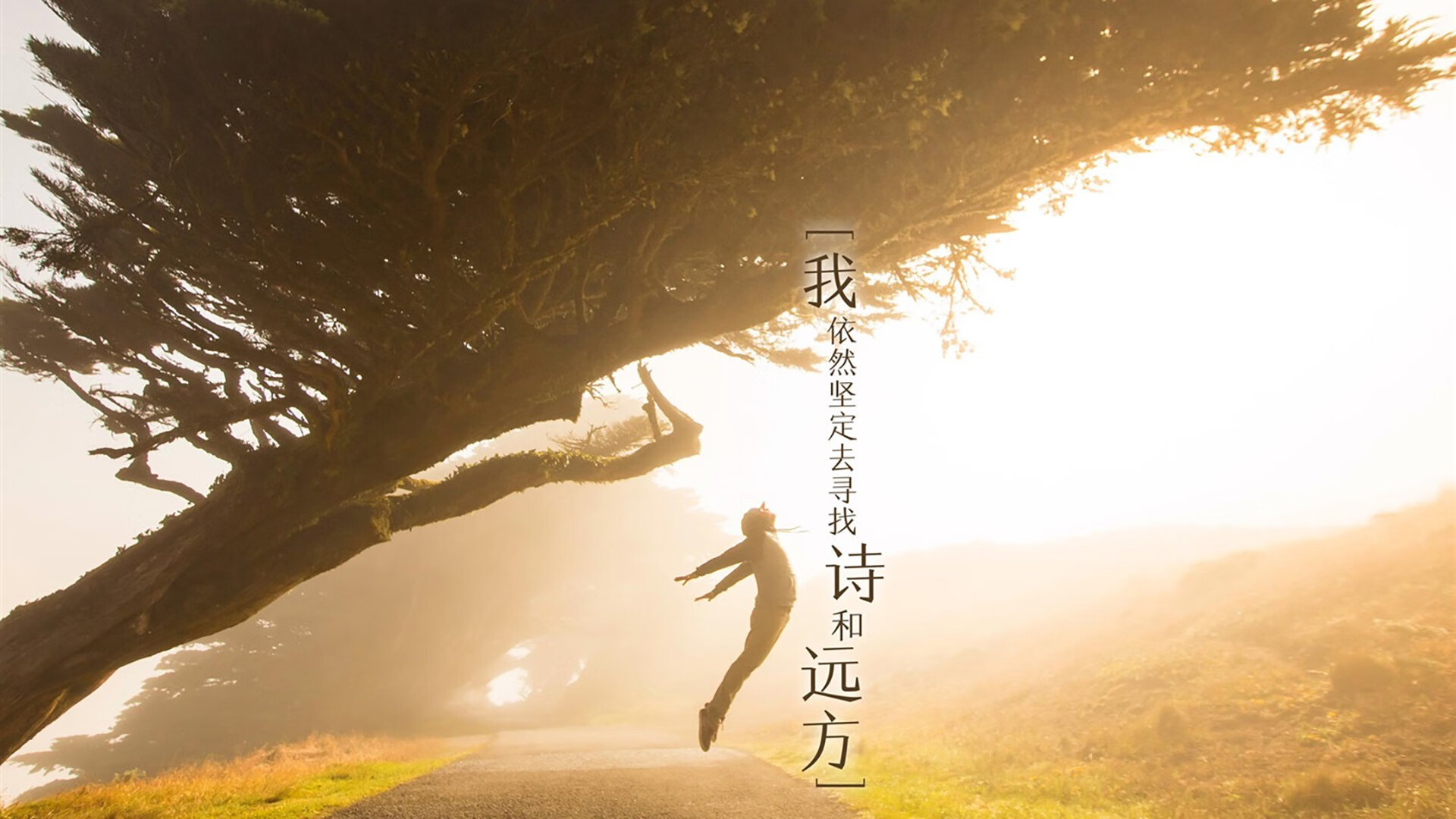 蓝衣军团的地面革命，吉鲁的支点哲学如何撕裂丹麦童话