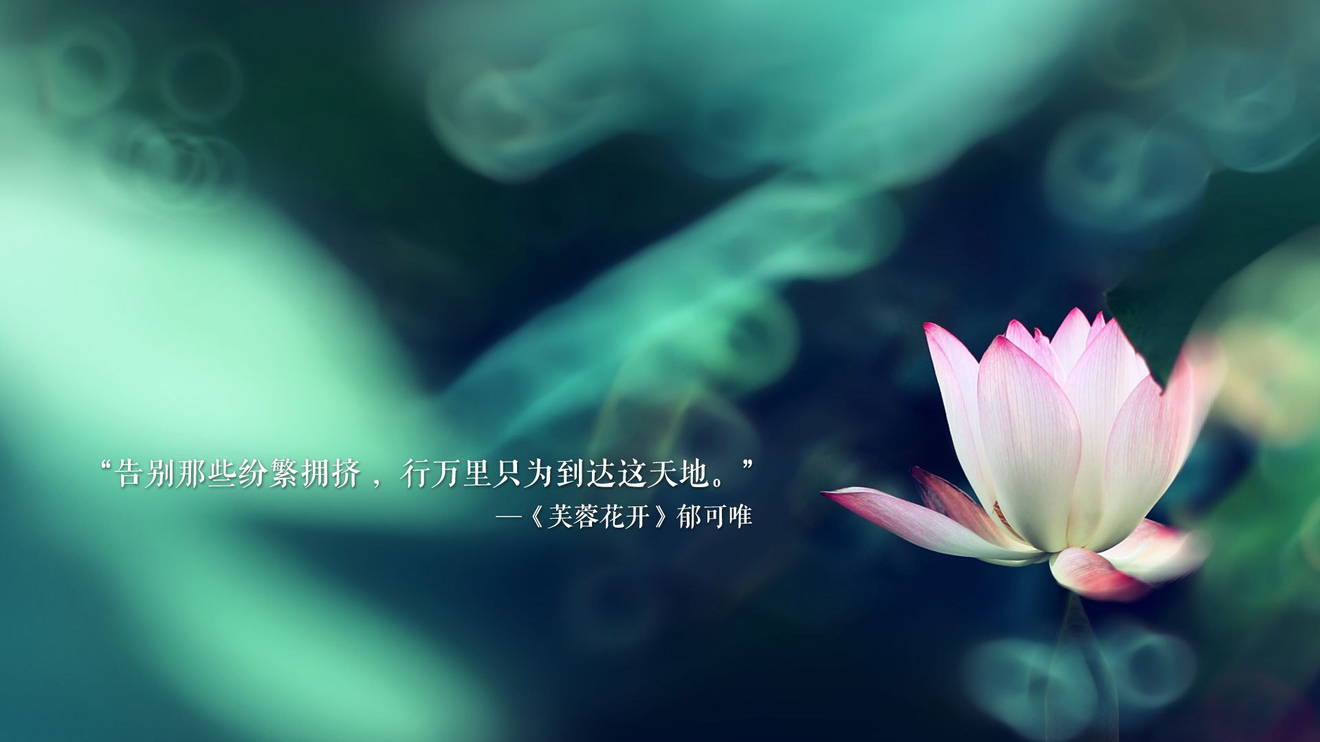 2026世界杯H组，伊朗铁骑碾碎东欧堡垒，佩德里星光独耀—一场颠覆足球美学的唯一性战役